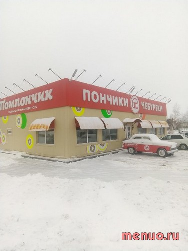 Помпончик по трасса Воронеж - Тамбов, 11км, Воронежская область фото 2