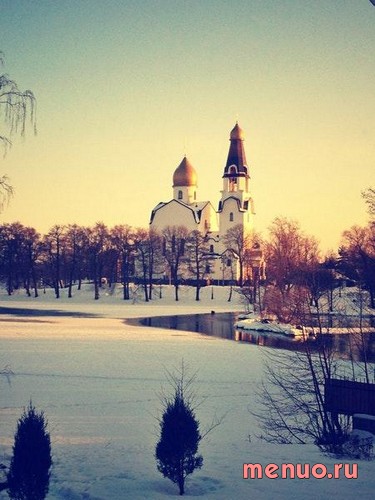 Васаби по ул. Мосина, 14, Санкт-Петербург фото 3