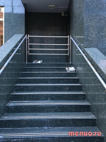 FreshLine по вулиця Хрещатик, 7/11 фото 4
